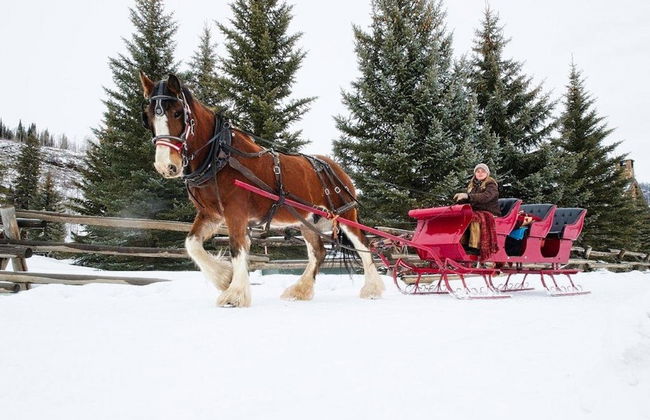 Vista Verde Ranch All-inclusive - Adults Only - Foto 64