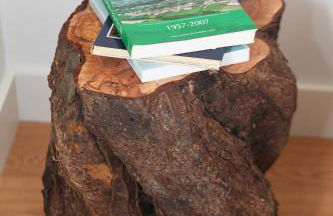 Casa da Cisaltina - Photo 115