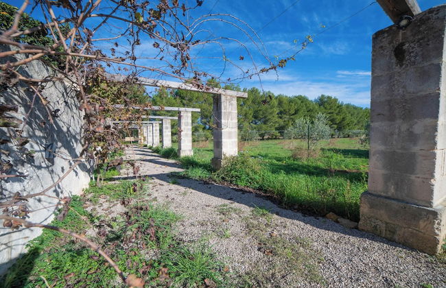 Villa Agrumeta - Private Natural Bio Lake - Foto 37