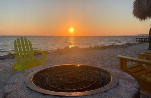 Sunset Paradise - Find yourself in Tampa - Photo 34