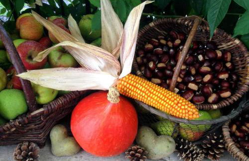 Gästehaus Minkel - Foto 13