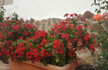 Casa Reyes Fataga Apta Reyes - Foto 8