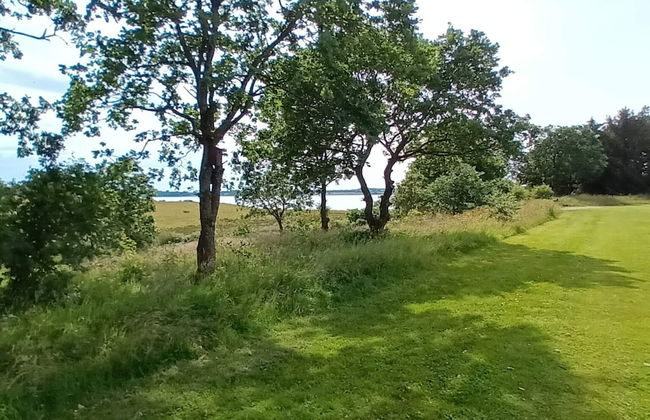 Holiday Home in Skals - Foto 9