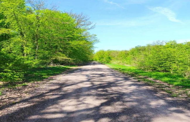 Holiday Home in Wolfsberg by River - Foto 28