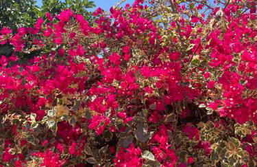 Casinha Serena by east ALgarve guest - Foto 5