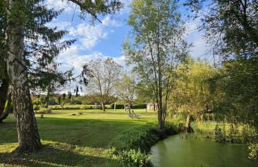 Le nid de l'écureuil - Foto 20