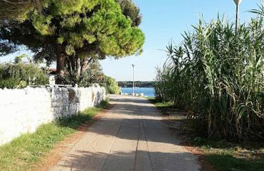 Apartments Oleander Lovrečica-residence with pool - Photo 63