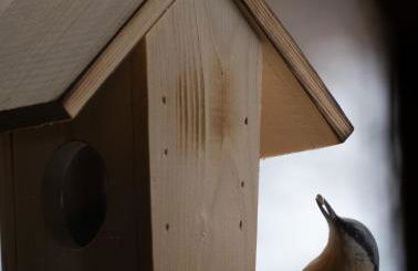 Le Petit Aupillon - L'Aupillon des Forêts - 2 studios cocooning aux Orres - Photo 38