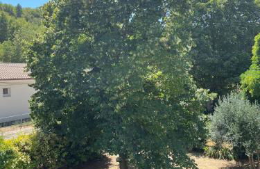 La Boissetane, maison provençale avec piscine et jardin, au pied du Luberon - Foto 25