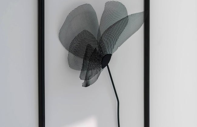 Emirates White Sensation - Foto 33