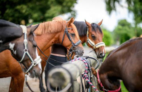 Moierhof - Der Ferienbauernhof am Chiemsee - Photo 6