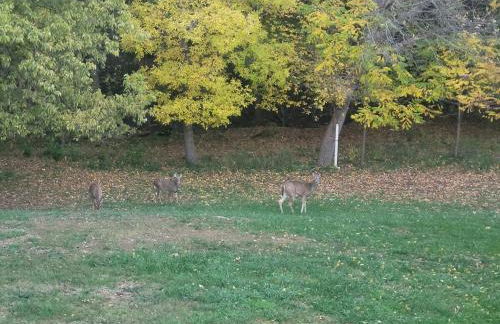 Lewis And Clark Hideaway SD side hot tub 2 min lake - Foto 23
