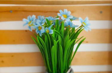 Le Chant de Viroflay - Foto 18