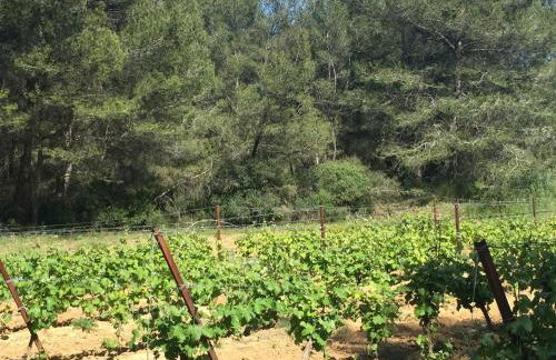 Lodge Montagnac - Foto 29