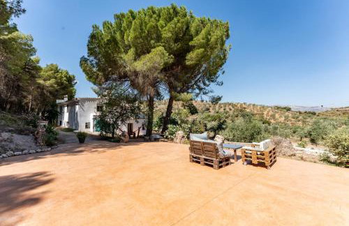 Cortijo La Zahurdilla - Foto 33