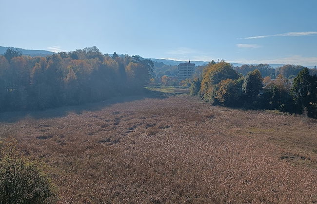 Departamento céntrico Isla teja 19 - Foto 59