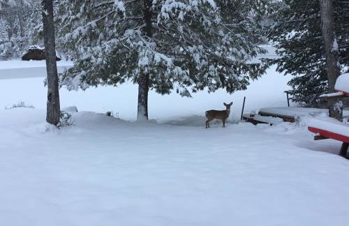 Balsam Point Lakefront - Foto 33