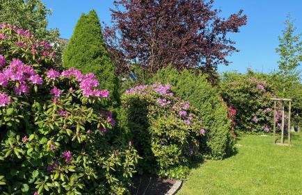 Haus Tulle - 2 Ferienwohnungen Schnupp & Lütte mit Saisonstrandkorb - Foto 7