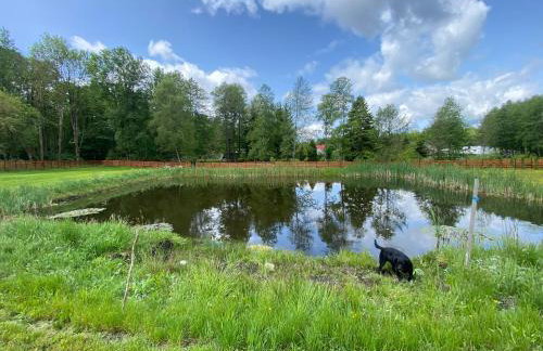 Drewniana ostoja, jacuzzi, sauna, basen - domek na wyłączność - Foto 23