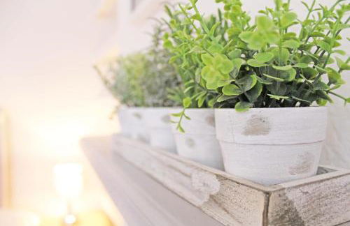 Panton Road - Modern Classic Terrace - Photo 8