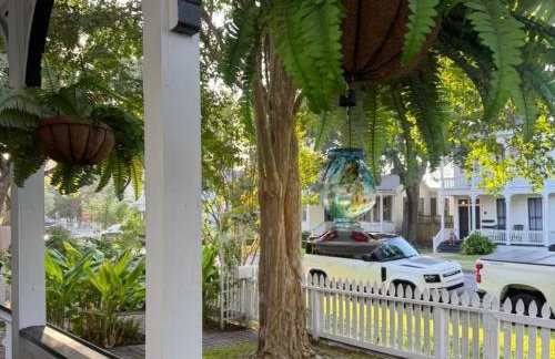 Coast is Clear - Foto 29