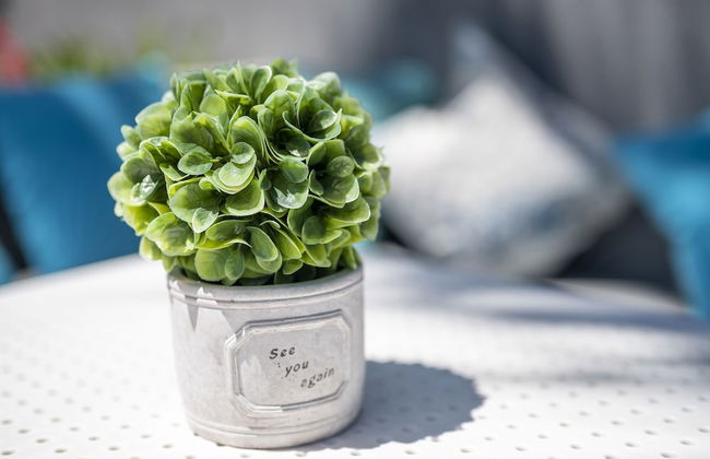 Dionysos Hotel & Suites - Foto 69