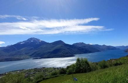 Lake in Nature - Foto 14