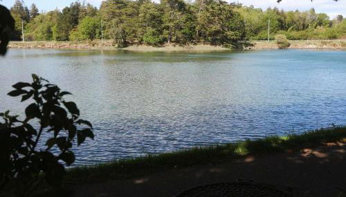 Appartement T2 à Bénodet proche plages, vue rivière - FR-1-481-178 - Foto 1