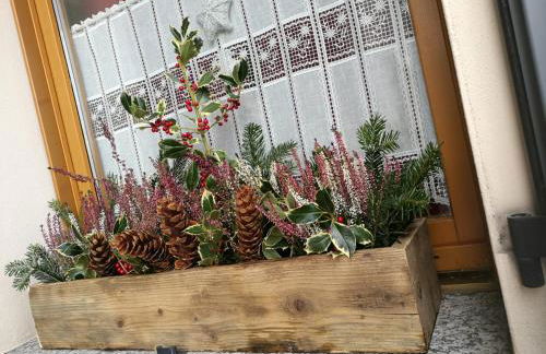 Appartamento Fiordalpe - Foto 30