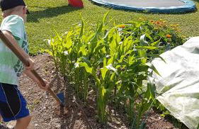 Ferienwohnung FERRUM - Foto 18