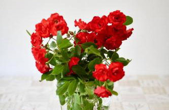 House Jole - Foto 67