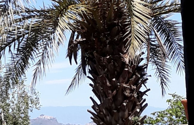 BB Villa Overlooking Sea, Mountain, Coast - Renovated Ancient Winery More - Photo 72