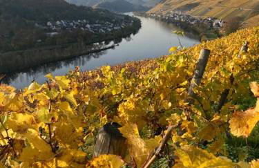 Apartment Hallenbach - Foto 24