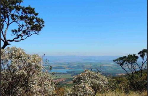 #casinhadasbananeiras - Foto 49