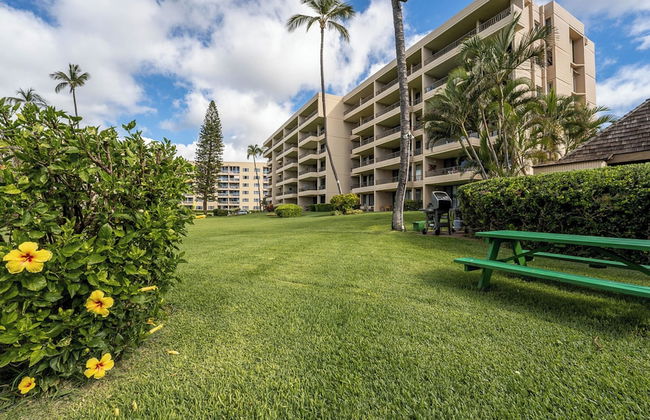 Koa Lagoon 506 - Photo 21