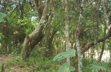 Chácara em Piracaia - Photo 30