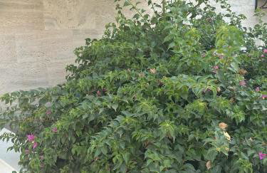 Vila Regina Apartment Regina with Swimming Pool - Photo 24