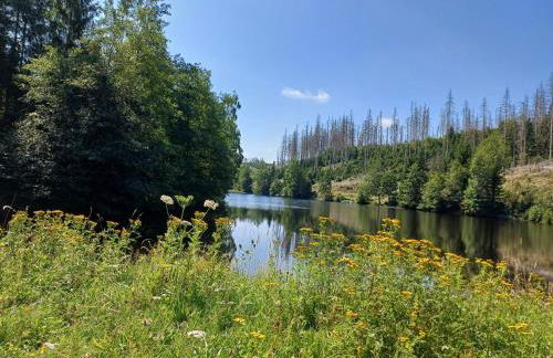 Waldgeflüster - Photo 22