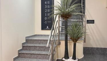 Aparthotel A&M VIÑA II - Foto 4, Lobby or reception