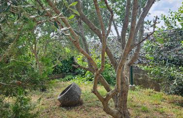 Villa Kate, with a private swimming pool and garden - Foto 49