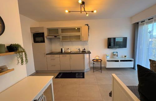 Charmant apt calme - proche plage et aéroport - climatisé - parking privé gratuit - Foto 39