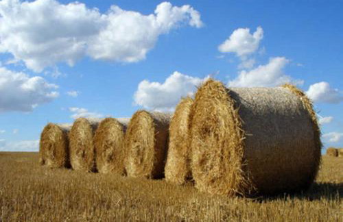 Ferienhaus Klookris 15 - Foto 16