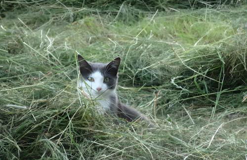 Ferienwohnung Bei der Töpferei - Photo 26