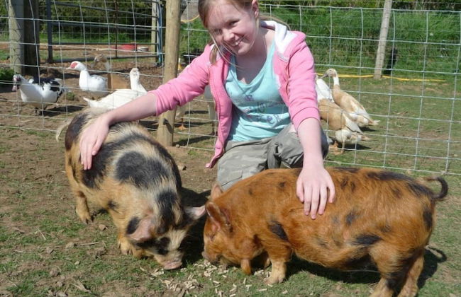 Birchill Farm Holiday Cottages - Photo 37