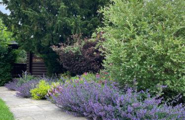 The Cabin - Photo 24