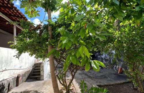 Durmaaquislz - Photo 44