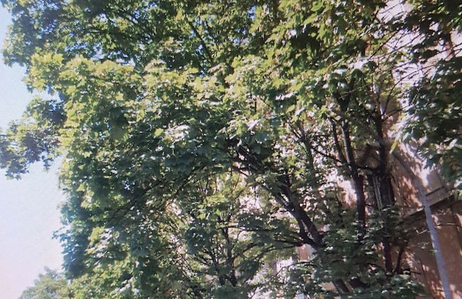 La Lupa In Trastevere - Photo 25