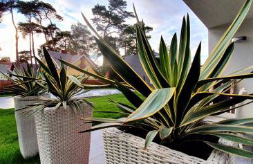 Leo Royal Apartament Pobierowo - Foto 23