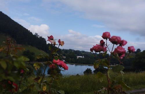 PequeñoCabárceno - Foto 47