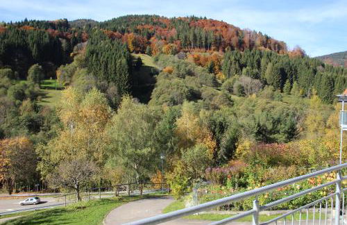 Steiert Panorama Apartments Todtnau - Foto 69